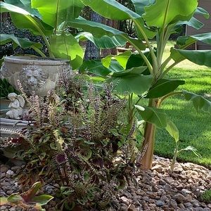 Meet your Posher, Gerald